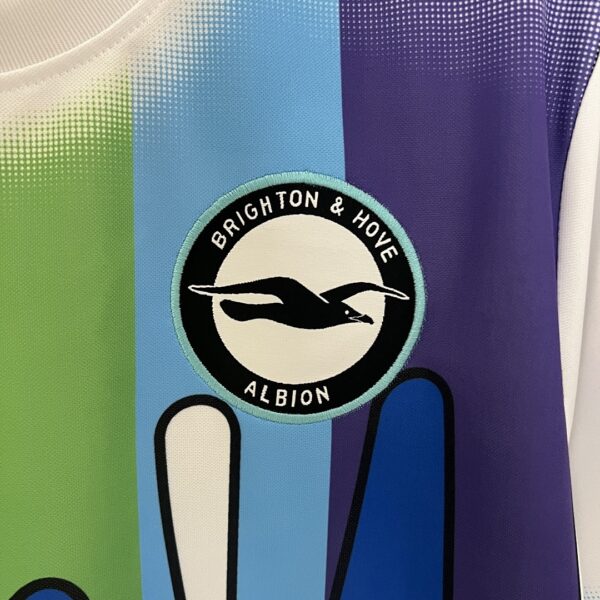 Camiseta Brighton 2023/24 Entrenamiento - detalle