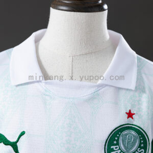 Camiseta Palmeiras 2023/24 Visita — detalle