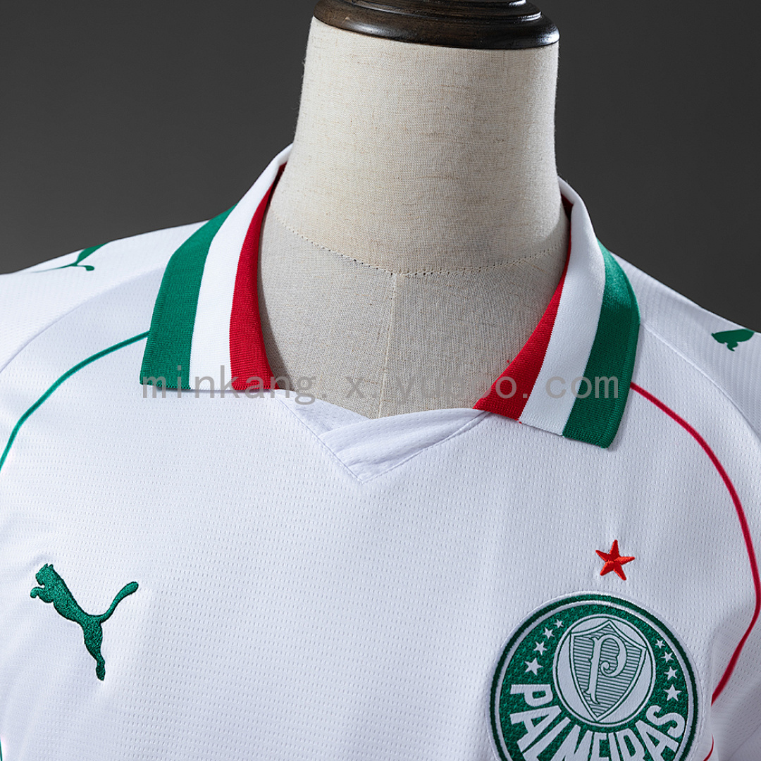 Camiseta Palmeiras 2024/25 Visita — vista frontal