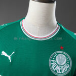 Camiseta Palmeiras 2024/25 Local — vista frontal