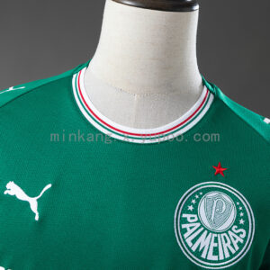 Camiseta Palmeiras 2024/25 Local — vista frontal
