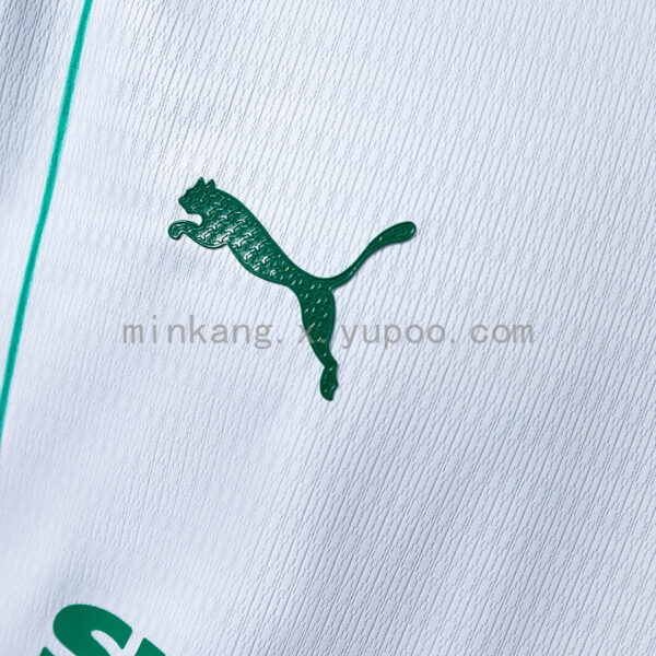 Camiseta Palmeiras 2023/24 Local — detalle costura