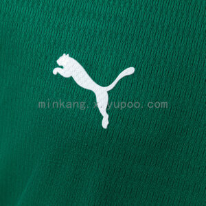 Camiseta Palmeiras 2024 Local — detalle manga
