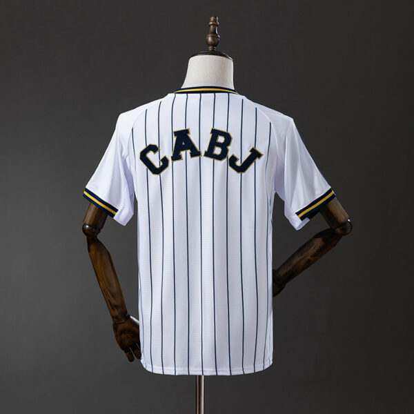Camiseta Boca Juniors 2024 Edición Especial Pinstripe CABJ - vista trasera