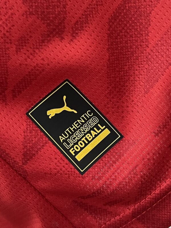 Camiseta Valencia CF 2023/24 Visita — detalle