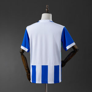 Camiseta Brighton & Hove Albion 2024 Local - vista lateral en maniquí
