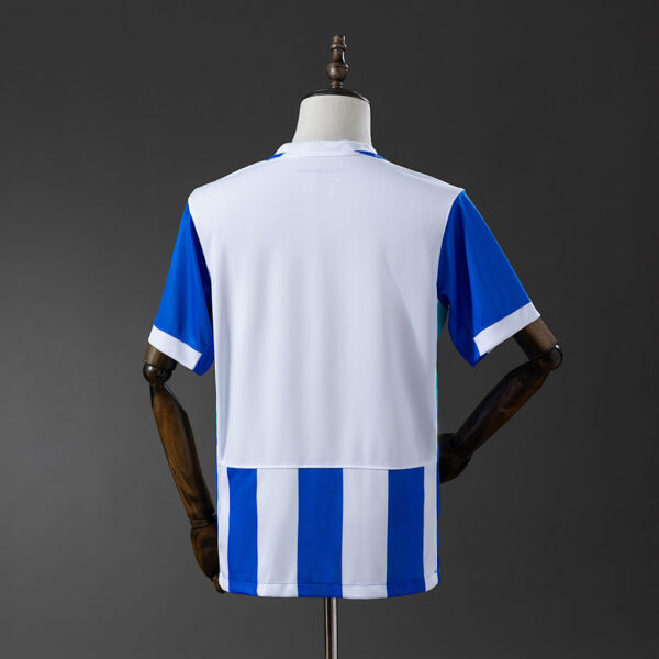 Camiseta Brighton & Hove Albion 2024 Local - vista lateral en maniquí