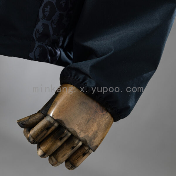 Camiseta Borussia Dortmund 2023/24 Cortaviento - detalle