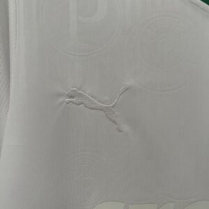 Camiseta Palmeiras 2023/24 Edición Especial — detalle