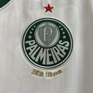 Camiseta Palmeiras 2024 Visita — detalle
