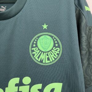 Camiseta Palmeiras 2021 Tercera
