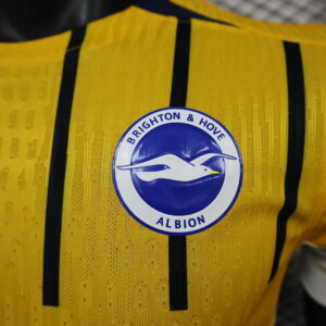 Camiseta Brighton & Hove Albion 2023/24 Tercera - detalle