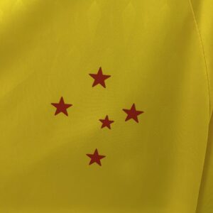 Camiseta Cruzeiro 2024/25 Arquero — vista frontal