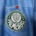 Camiseta Palmeiras 2023/24 Arquero — vista frontal