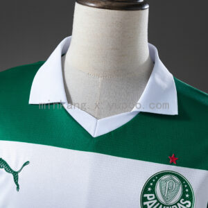 Camiseta Palmeiras 2024 Edición Especial — vista frontal