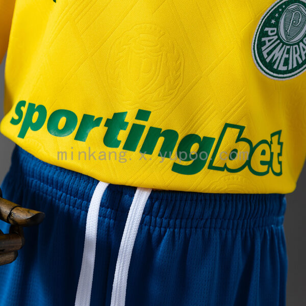 Camiseta Palmeiras 2023/24 Tercera — detalle
