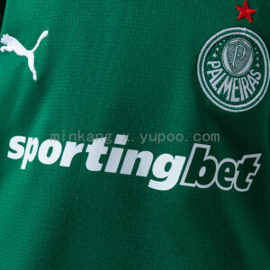 Camiseta Palmeiras 2024/25 Local — vista frontal en maniquí