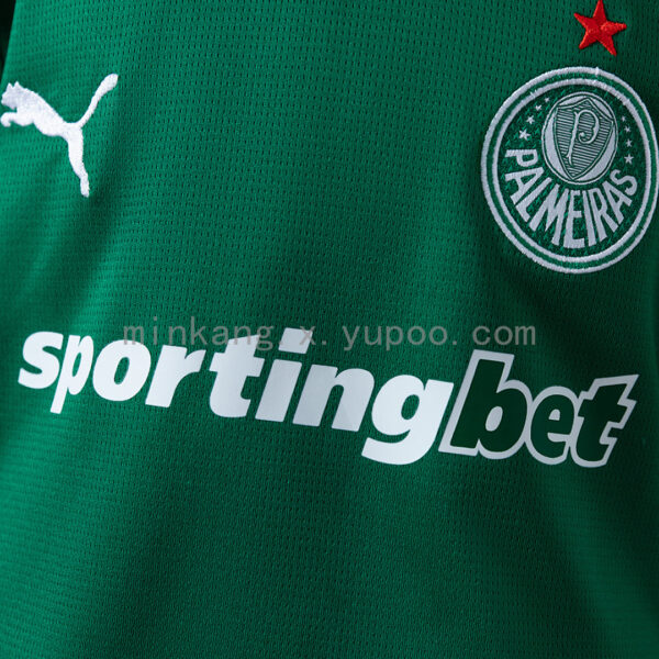 Camiseta Palmeiras 2024/25 Local — vista frontal en maniquí