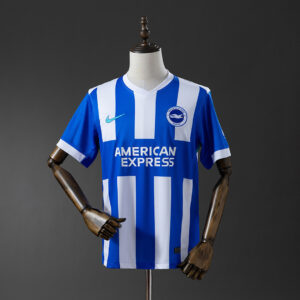 Camiseta Brighton & Hove Albion 2024 Local - vista frontal completa en maniquí