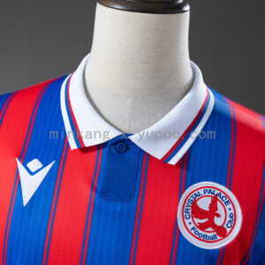 Camiseta Crystal Palace 2023/24 Local - vista frontal
