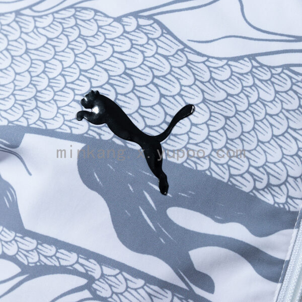 Camiseta Manchester City 2024/25 Cortaviento - detalle