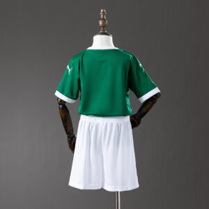 Camiseta Palmeiras 2023 Local Niño — vista lateral