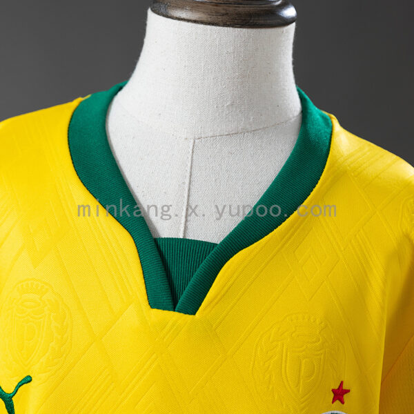 Camiseta Palmeiras 2023/24 Tercera — detalle