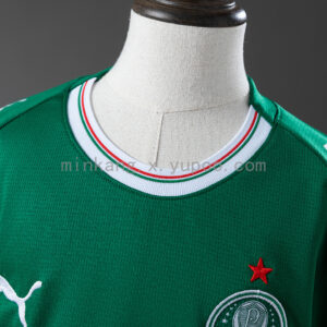 Camiseta Palmeiras 2024/25 Local — vista lateral completa