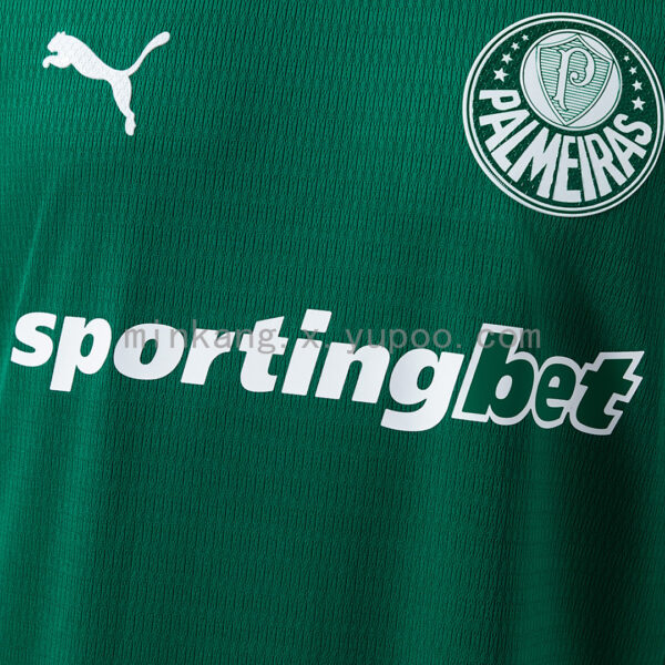 Camiseta Palmeiras 2024 Local — primer plano frontal