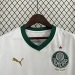 Camiseta Palmeiras 2024 Visita — detalle