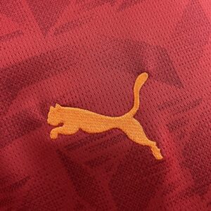 Camiseta Valencia CF 2023/24 Visita — detalle