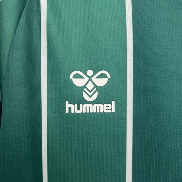 Camiseta Werder Bremen 2023/24 Local - detalle