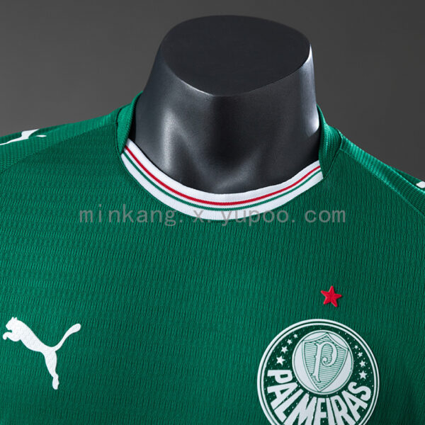 Camiseta Palmeiras 2024 Local — vista frontal