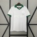 Camiseta Palmeiras 2023/24 Edición Especial — detalle