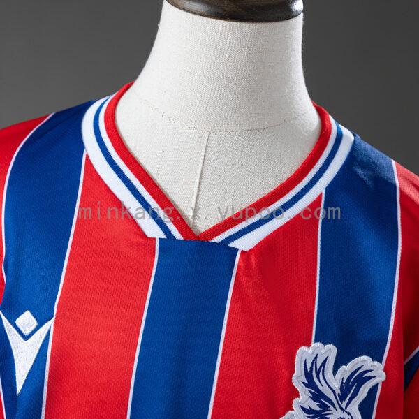 Camiseta Crystal Palace 2023/24 Local - detalle