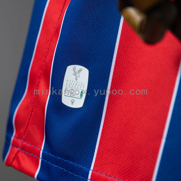 Camiseta Crystal Palace 2023/24 Local - detalle