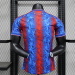 Camiseta Crystal Palace 2023/24 Local - detalle