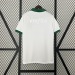 Camiseta Palmeiras 2023/24 Edición Especial — detalle