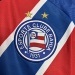 Camiseta Bahia 2023/24 Visita — detalle