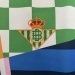 Camiseta Real Betis 2022/23 Edición Especial — detalle