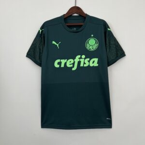 Camiseta Palmeiras 2021 Tercera