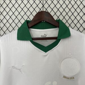 Camiseta Palmeiras 2023/24 Edición Especial — detalle