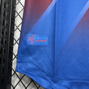 Camiseta Bahia 2023/24 Visita — detalle