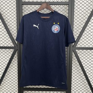 Camiseta Bahia 2024 Entrenamiento — vista completa sin arrugas