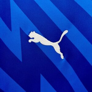 Camiseta Palmeiras 2024 Arquero — detalle