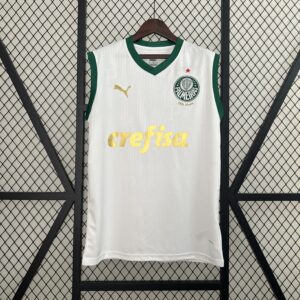 Camiseta Palmeiras 2024 Visita — detalle