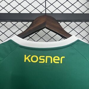 Camiseta Real Zaragoza 2023/24 Edición Especial — detalle