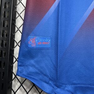 Camiseta Bahia 2023/24 Visita — detalle