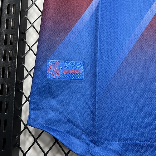 Camiseta Bahia 2023/24 Visita — detalle
