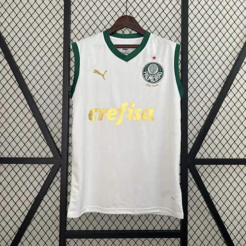Camiseta Palmeiras 2024 Visita — detalle